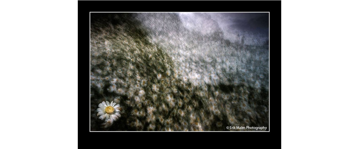 image taken be Erik Malm